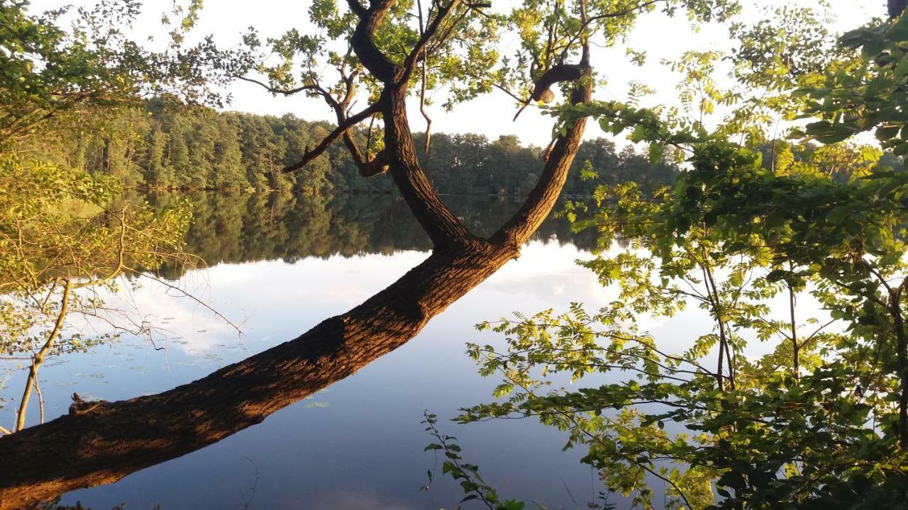 Sidowseetraum Himmelpfort Buitenkant foto